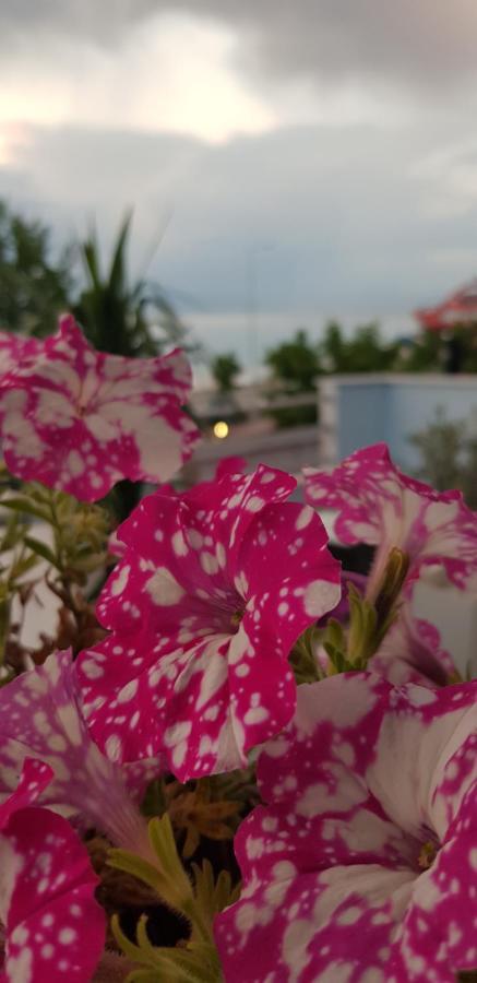 George 2 Apartment Limenas (Thasos)